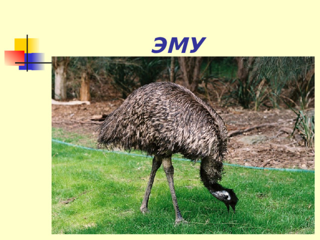 ЭМУ 