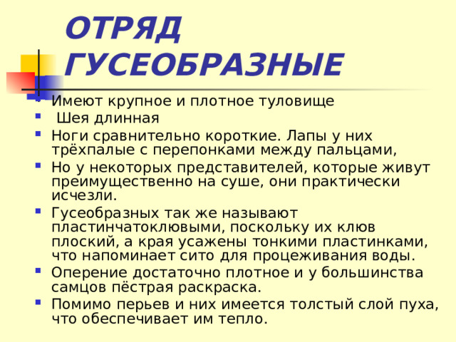 ОТРЯД ГУСЕОБРАЗНЫЕ Имеют крупное и плотное туловище  Шея длинная Ноги сравнительно короткие. Лапы у них трёхпалые с перепонками между пальцами, Но у некоторых представителей, которые живут преимущественно на суше, они практически исчезли. Гусеобразных так же называют пластинчатоклювыми, поскольку их клюв плоский, а края усажены тонкими пластинками, что напоминает сито для процеживания воды. Оперение достаточно плотное и у большинства самцов пёстрая раскраска. Помимо перьев и них имеется толстый слой пуха, что обеспечивает им тепло. 