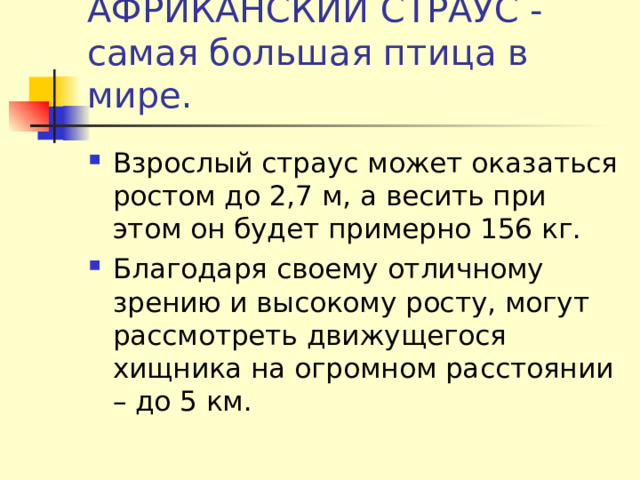 АФРИКАНСКИЙ СТРАУС - самая большая птица в мире. Взрослый страус может оказаться ростом до 2,7 м, а весить при этом он будет примерно 156 кг. Благодаря своему отличному зрению и высокому росту, могут рассмотреть движущегося хищника на огромном расстоянии – до 5 км. 