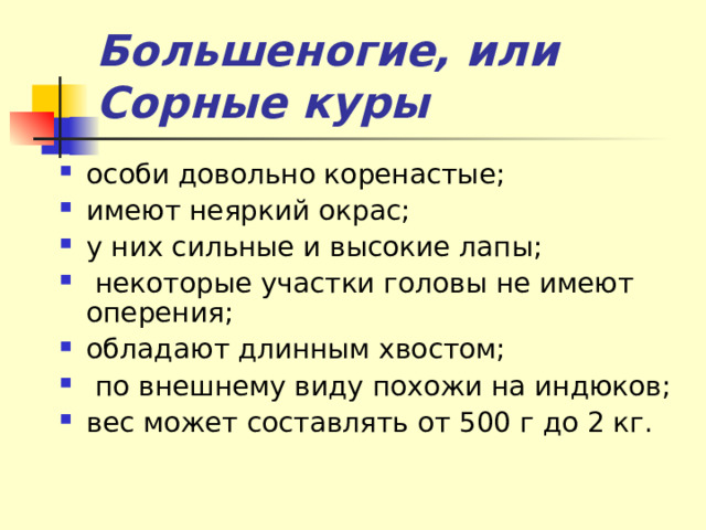 Большеногие, или Сорные куры особи довольно коренастые; имеют неяркий окрас; у них сильные и высокие лапы;  некоторые участки головы не имеют оперения; обладают длинным хвостом;  по внешнему виду похожи на индюков; вес может составлять от 500 г до 2 кг.    