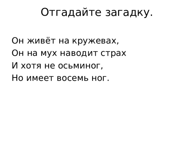 Отгадайте загадку.   Он живёт на кружевах, Он на мух наводит страх И хотя не осьминог, Но имеет восемь ног. 