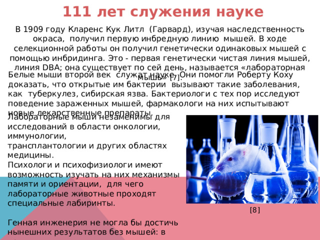 111 лет служения науке В 1909 году Кларенс Кук Литл (Гарвард), изучая наследственность окраса, получил первую инбредную линию мышей. В ходе селекционной работы он получил генетически одинаковых мышей с помощью инбридинга. Это - первая генетически чистая линия мышей, линия DBA; она существует по сей день, называется «лабораторная мышь» [7]. Белые мыши второй век служат науке. Они помогли Роберту Коху доказать, что открытые им бактерии вызывают такие заболевания, как туберкулез, сибирская язва. Бактериологи с тех пор исследуют поведение зараженных мышей, фармакологи на них испытывают новые лекарственные препараты. Лабораторные мыши незаменимы для исследований в области онкологии, иммунологии, трансплантологии и других областях медицины. Психологи и психофизиологи имеют возможность изучать на них механизмы памяти и ориентации, для чего лабораторные животные проходят специальные лабиринты. Генная инженерия не могла бы достичь нынешних результатов без мышей: в хромосомы мыши внедрялись различные гены, затем исследовалось их поведение и состояние. [8] 