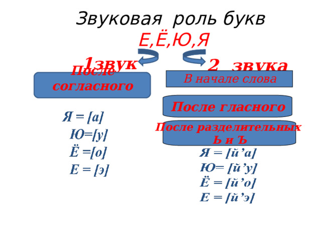   Звуковая роль букв  Е,Ё,Ю,Я   1звук    2 звука  В начале слова После согласного  После гласного После разделительных Ь и Ъ  