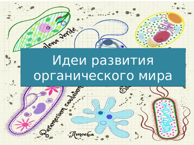 Идеи развития органического мира 