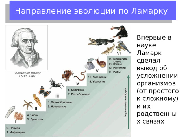 Движущие силы эволюции по Ламарку Стремление организмов к самосовершенствованию Прямое влияние  и наследование благоприобретенных признаков условий внешней среды, вызывающие появление у организмов полезных признаков 