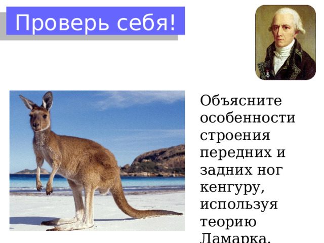Эволюционная теория Ж.Б. Ламарка Изменение условий внешней среды Изменение потребностей организма Появление новых «привычек» Неиспользование органов Усиленное использование органов Ослабление или исчезновение органов Усиленное развитие органов Приобретенные признаки передаются по наследству 