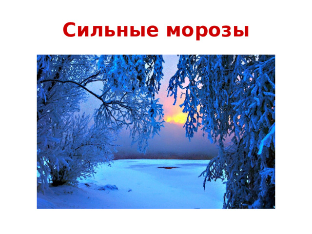 Сильные морозы 