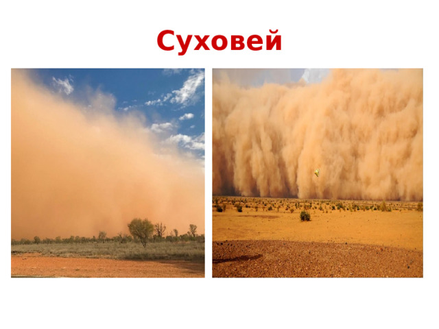 Суховей 
