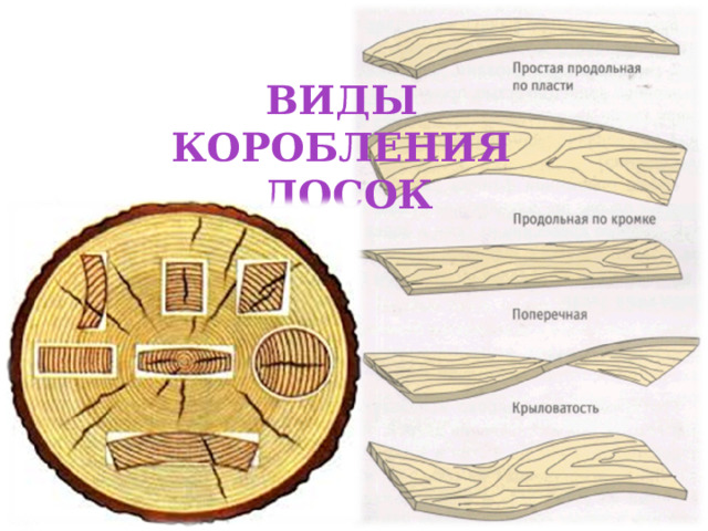 ВИДЫ  КОРОБЛЕНИЯ  ДОСОК 