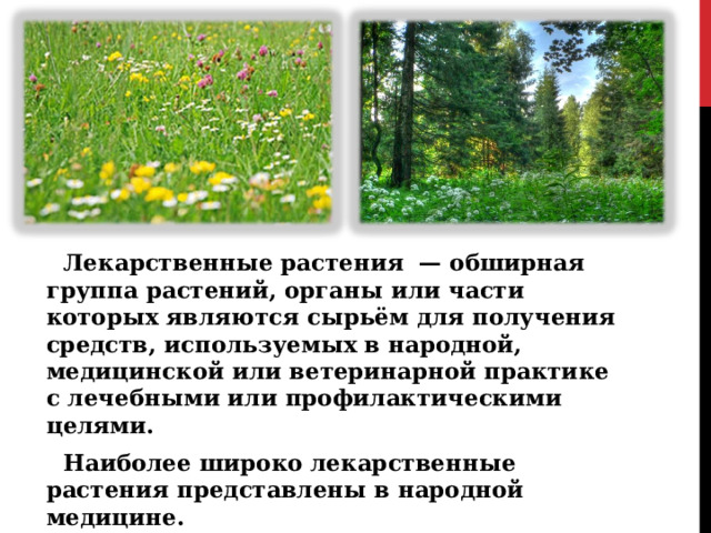 Лекарственные растения — обширная группа растений, органы или части которых являются сырьём для получения средств, используемых в народной, медицинской или ветеринарной практике с лечебными или профилактическими целями. Наиболее широко лекарственные растения представлены в народной медицине. 
