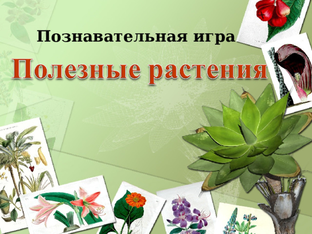 Познавательная игра 