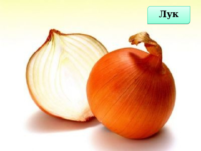 Лук  