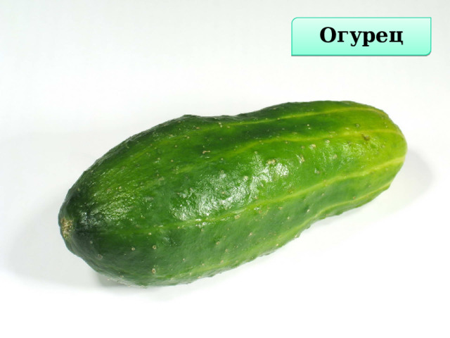Огурец  