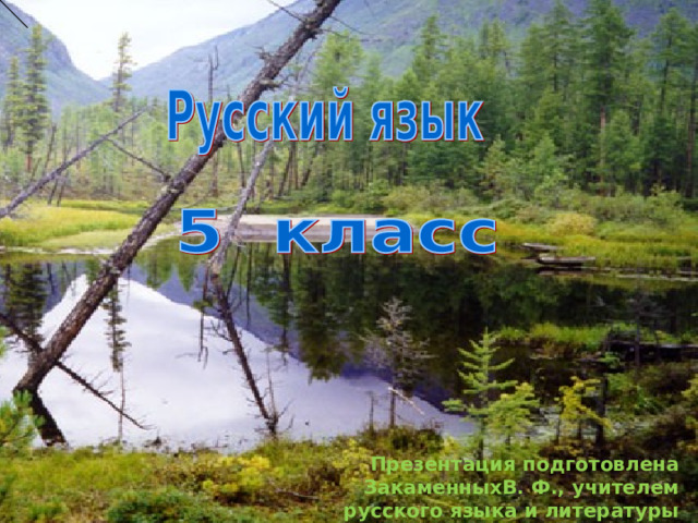 Презентация подготовлена ЗакаменныхВ. Ф., учителем русского языка и литературы МАОУ «СОШ №49» 
