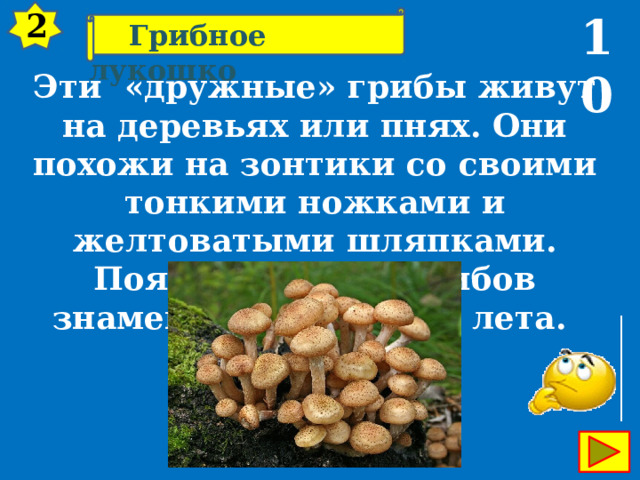 2 10  Грибное лукошко Эти «дружные» грибы живут на деревьях или пнях. Они похожи на зонтики со своими тонкими ножками и желтоватыми шляпками. Появление этих грибов знаменует окончание лета. 