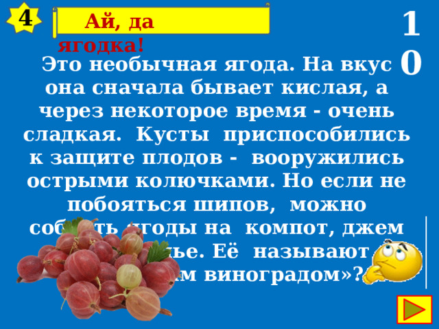 10 4  Ай, да ягодка! Это необычная ягода. На вкус она сначала бывает кислая, а через некоторое время - очень сладкая. Кусты приспособились к защите плодов - вооружились острыми колючками. Но если не побояться шипов, можно собрать ягоды на компот, джем или варенье. Её называют « северным виноградом»? 27 