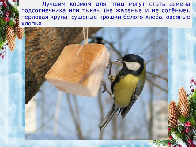  Лучшим кормом для птиц могут стать семена подсолнечника или тыквы (не жареные и не солёные), перловая крупа, сушёные крошки белого хлеба, овсяные хлопья. 