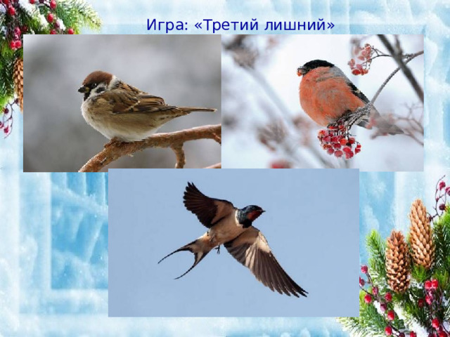 Игра: «Третий лишний» 