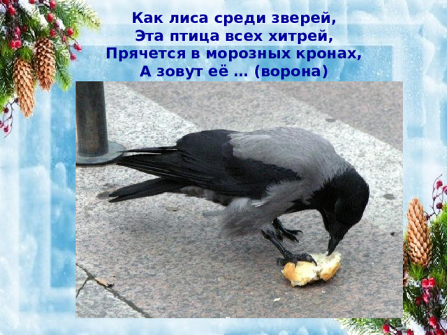 Как лиса среди зверей, Эта птица всех хитрей, Прячется в морозных кронах, А зовут её … (ворона) 
