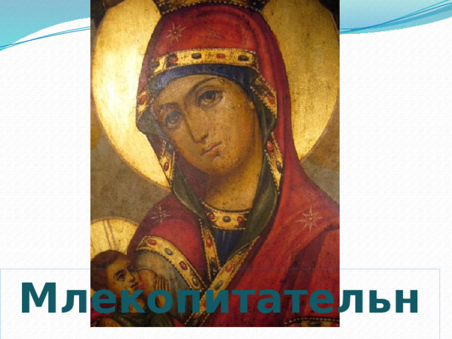   Млекопитательница   