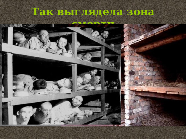 Так выглядела зона смерти 