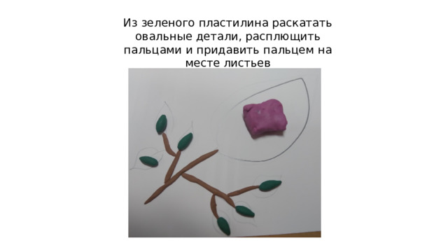Из зеленого пластилина раскатать овальные детали, расплющить пальцами и придавить пальцем на месте листьев 