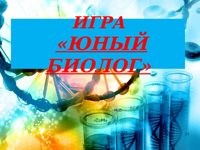 ИГРА   «ЮНЫЙ БИОЛОГ» 