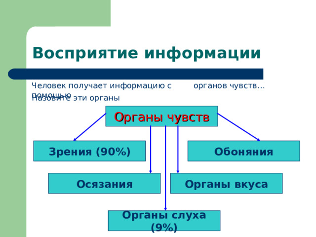 Восприятие информации Человек получает информацию с помощью органов чувств… Назовите эти органы Органы чувств Зрения (90%) Обоняния Осязания Органы вкуса Органы слуха (9%) 