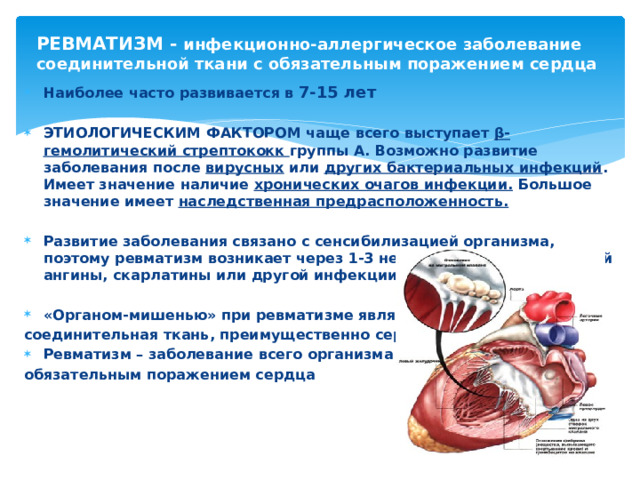 РЕВМАТИЗМ - инфекционно-аллергическое заболевание соединительной ткани с обязательным поражением сердца Наиболее часто развивается в 7-15 лет  ЭТИОЛОГИЧЕСКИМ ФАКТОРОМ чаще всего выступает β-гемолитический стрептококк группы А. Возможно развитие заболевания после вирусных или других бактериальных инфекций . Имеет значение наличие хронических очагов инфекции. Большое значение имеет наследственная предрасположенность.  Развитие заболевания связано с сенсибилизацией организма, поэтому ревматизм возникает через 1-3 недели после перенесенной ангины, скарлатины или другой инфекции  «Органом-мишенью» при ревматизме является соединительная ткань, преимущественно сердца. Ревматизм – заболевание всего организма с обязательным поражением сердца    