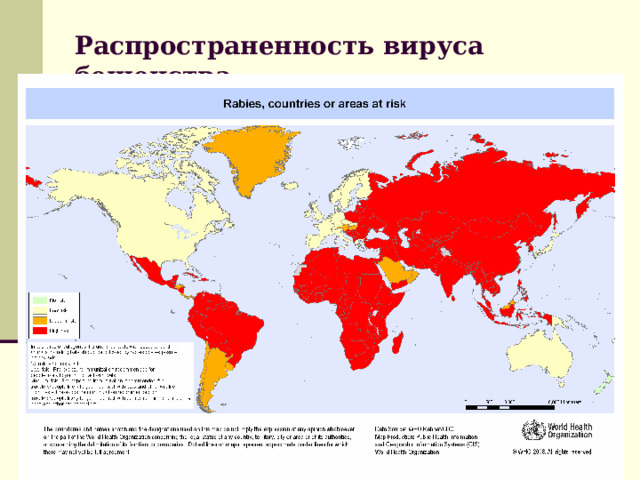 Распространенность вируса бешенства 