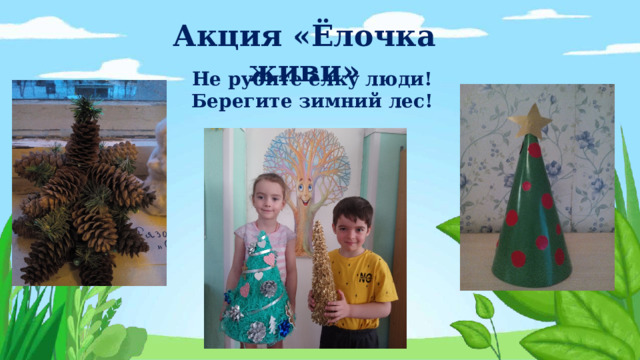 Акция «Ёлочка живи» Не рубите ёлку люди! Берегите зимний лес! 