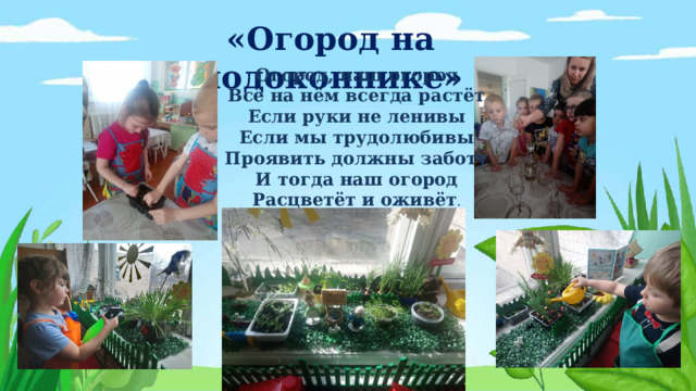 «Огород на подоконнике» Огород, наш огород Всё на нём всегда растёт Если руки не ленивы Если мы трудолюбивы Проявить должны заботу И тогда наш огород Расцветёт и оживёт . 