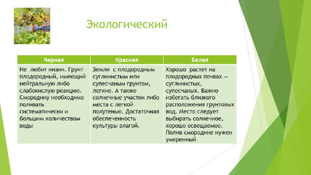 Экологический 
