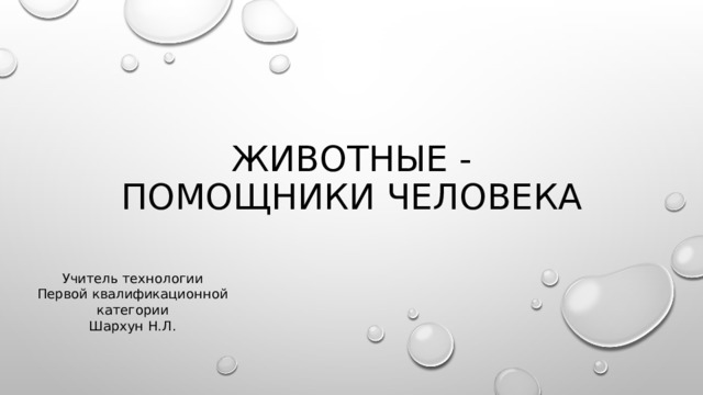 Животные - помощники человека Учитель технологии Первой квалификационной категории Шархун Н.Л. 