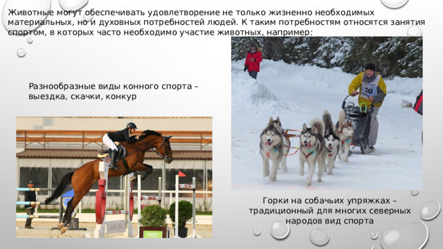 Животные могут обеспечивать удовлетворение не только жизненно необходимых материальных, но и духовных потребностей людей. К таким потребностям относятся занятия спортом, в которых часто необходимо участие животных, например: Разнообразные виды конного спорта – выездка, скачки, конкур Горки на собачьих упряжках – традиционный для многих северных народов вид спорта 