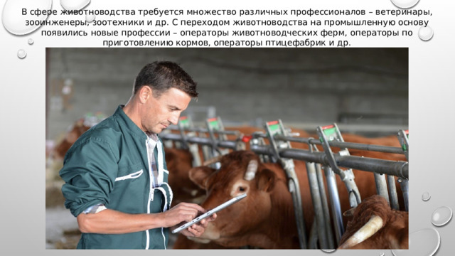 В сфере животноводства требуется множество различных профессионалов – ветеринары, зооинженеры, зоотехники и др. С переходом животноводства на промышленную основу появились новые профессии – операторы животноводческих ферм, операторы по приготовлению кормов, операторы птицефабрик и др. 