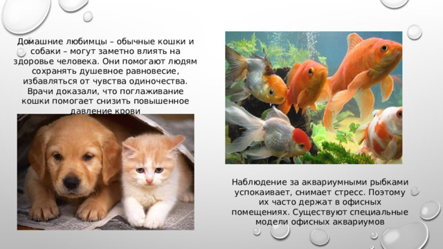 Домашние любимцы – обычные кошки и собаки – могут заметно влиять на здоровье человека. Они помогают людям сохранять душевное равновесие, избавляться от чувства одиночества. Врачи доказали, что поглаживание кошки помогает снизить повышенное давление крови Наблюдение за аквариумными рыбками успокаивает, снимает стресс. Поэтому их часто держат в офисных помещениях. Существуют специальные модели офисных аквариумов 