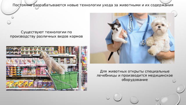Постоянно разрабатываются новые технологии ухода за животными и их содержания Существуют технологии по производству различных видов кормов Для животных открыты специальные лечебницы и производится медицинское оборудование 