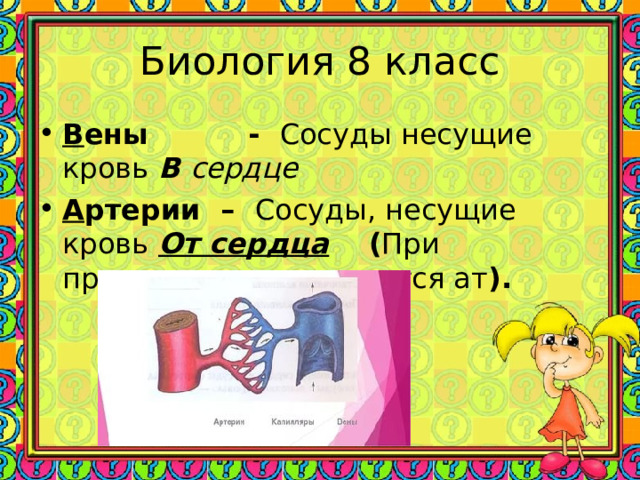 Биология 8 класс В ены - Сосуды несущие кровь  В сердце А ртерии – Сосуды, несущие кровь  От сердца ( При произношении слышится ат ).    