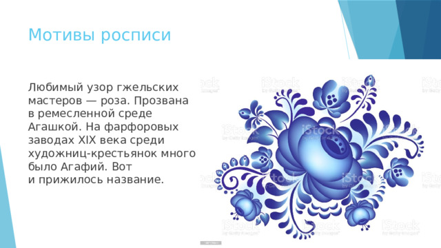 Мотивы росписи Любимый узор гжельских мастеров — роза. Прозвана в ремесленной среде Агашкой. На фарфоровых заводах ХIХ века среди художниц-крестьянок много было Агафий. Вот и прижилось название. 