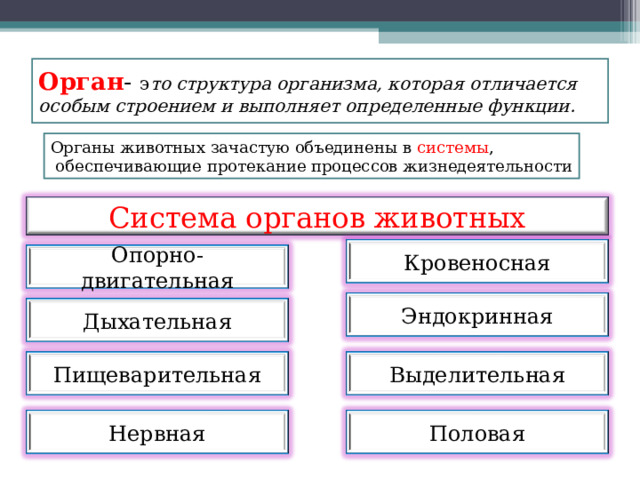 Орган - э то структура организма, которая отличается особым строением и выполняет определенные функции. Органы животных зачастую объединены в системы ,  обеспечивающие протекание процессов жизнедеятельности Система органов животных Кровеносная Опорно- двигательная Эндокринная Дыхательная Выделительная Пищеварительная Половая Нервная 