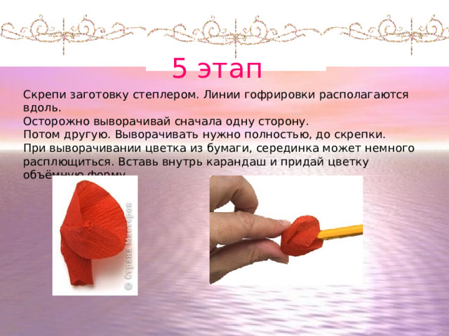 5 этап Скрепи заготовку степлером. Линии гофрировки располагаются вдоль. Осторожно выворачивай сначала одну сторону. Потом другую. Выворачивать нужно полностью, до скрепки. При выворачивании цветка из бумаги, серединка может немного расплющиться. Вставь внутрь карандаш и придай цветку объёмную форму.   