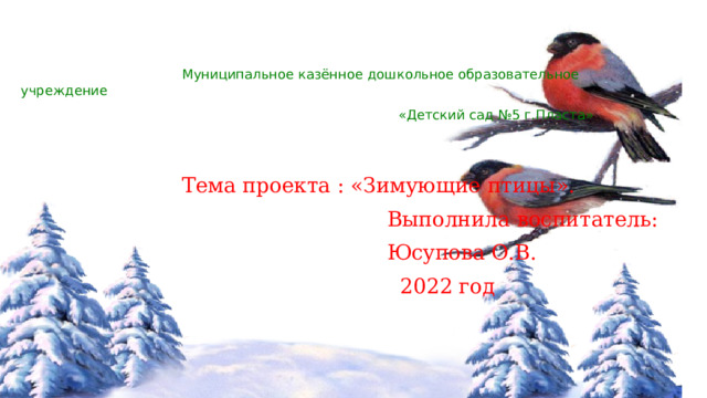  Муниципальное казённое дошкольное образовательное учреждение  «Детский сад №5 г.Пласта»     Тема проекта : «Зимующие птицы».  Выполнила воспитатель:  Юсупова О.В.  2022 год 