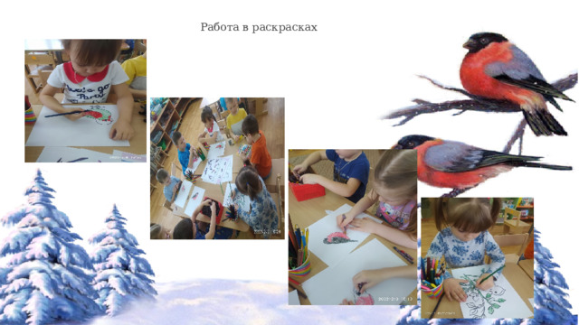 Работа в раскрасках 