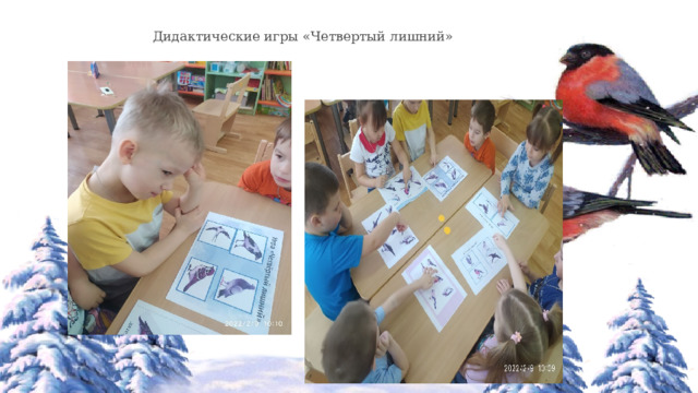 Дидактические игры «Четвертый лишний» 