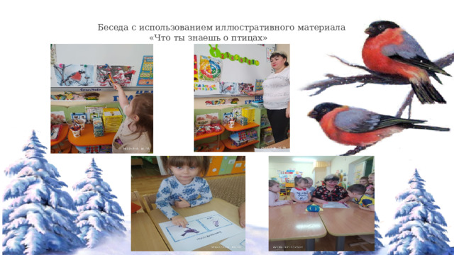  Беседа с использованием иллюстративного материала  «Что ты знаешь о птицах» 