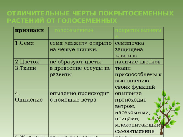 Отличительные черты покрытосеменных растений от голосеменных признаки  голосеменные 1.Семя покрытосеменные семя «лежит» открыто на чешуе шишки. 2.Цветок семяпочка защищена завязью не образуют цветы 3.Ткани 4. Опыление наличие цветков в древесине сосуды не развиты ткани приспособлены к выполнению своих функций опыление происходит с помощью ветра 5.Жизненные формы опыление происходит ветром, насекомыми, птицами, млекопитающим, самоопыление только древесные формы деревья, кустарники и травы. 