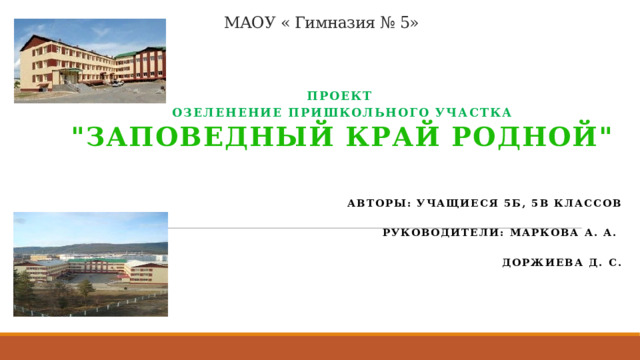 МАОУ « Гимназия № 5» Проект Озеленение пришкольного участка 
