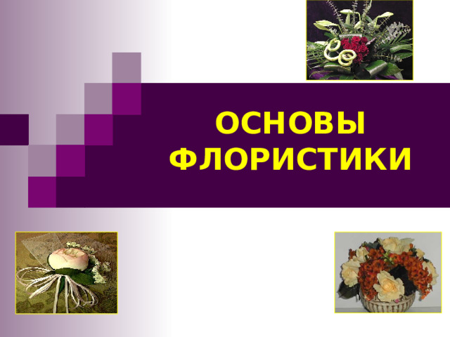 ОСНОВЫ  ФЛОРИСТИКИ 