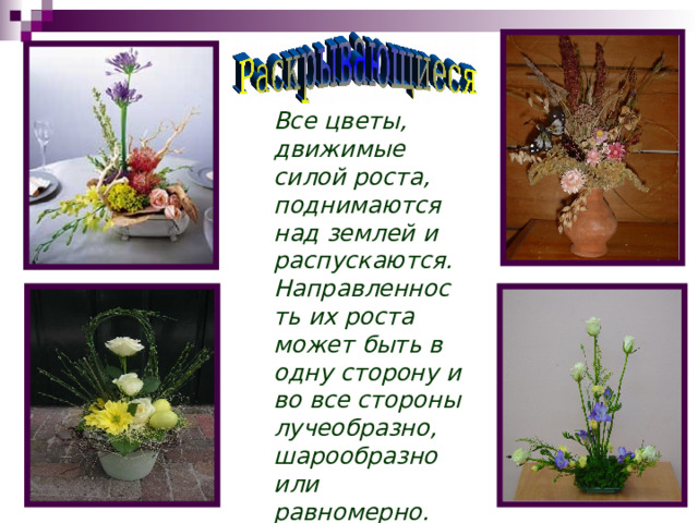 Все цветы, движимые силой роста, поднимаются над землей и распускаются. Направленность их роста может быть в одну сторону и во все стороны лучеобразно, шарообразно или равномерно. 